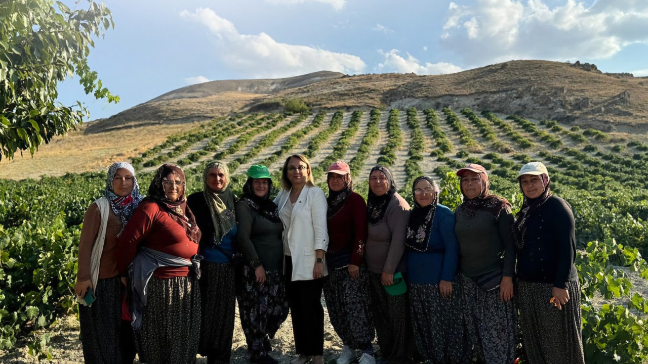 MHP Grup Başkanvekili Kılıç’tan Dünya Kadın Çiftçiler Günü mesajı