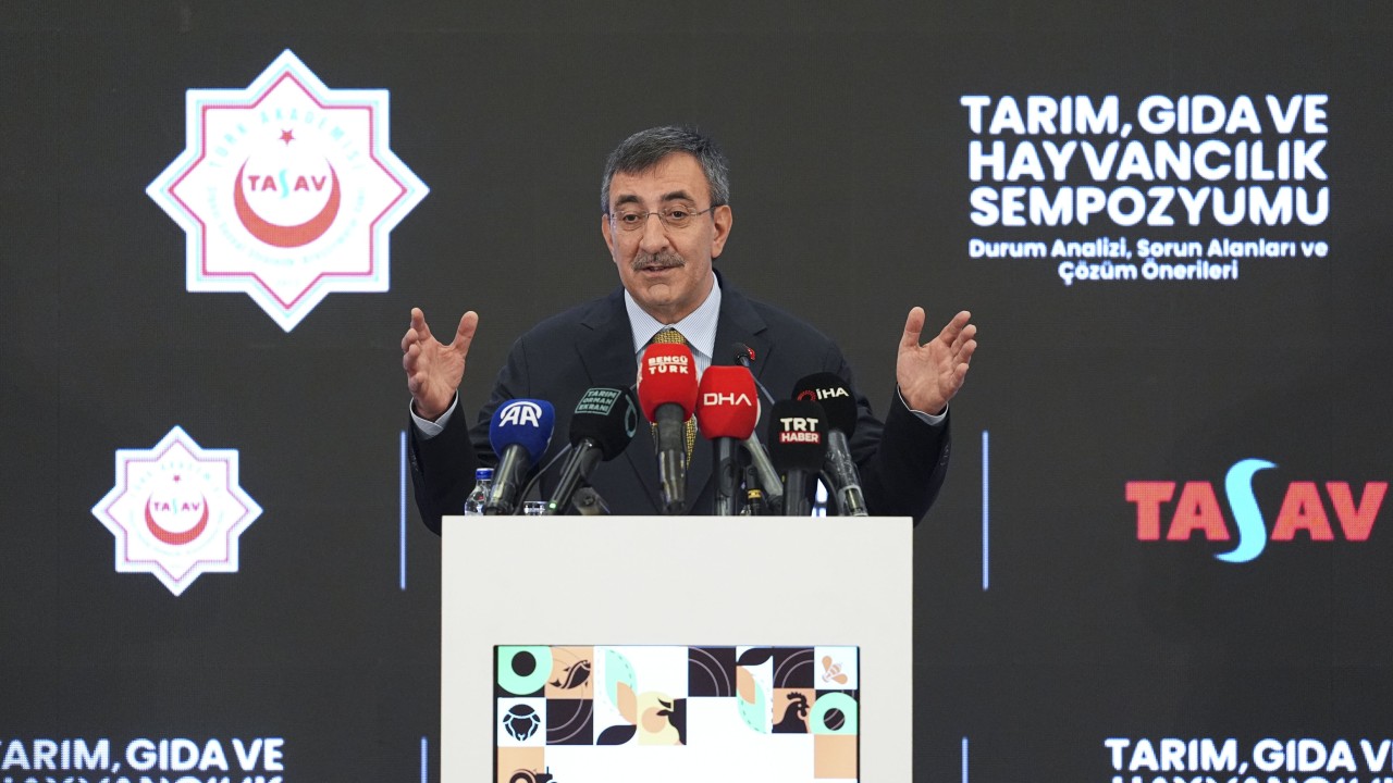 Cumhurbaşkanı Yardımcısı Yılmaz: Ülkemiz bugün 206'dan fazla tarım ürününü üreten güçlü bir tarım potansiyeline sahiptir
