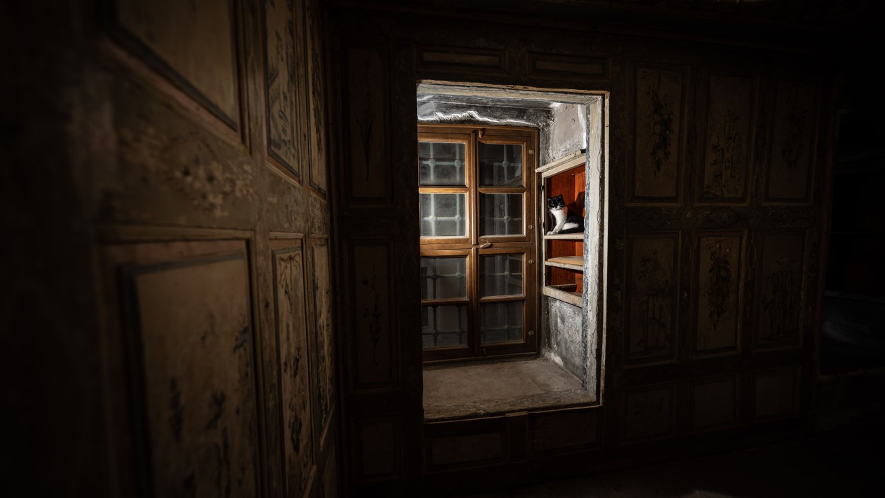 Topkapı Sarayı'nın kedi kapısı, Mülayim'in torunu "Şerbet"le yeniden hayat buldu