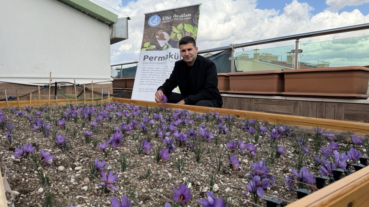 Ülkü Ocakları Genel Başkanı Yıldırım: Yeşil vatanımız en büyük hazinemizdir