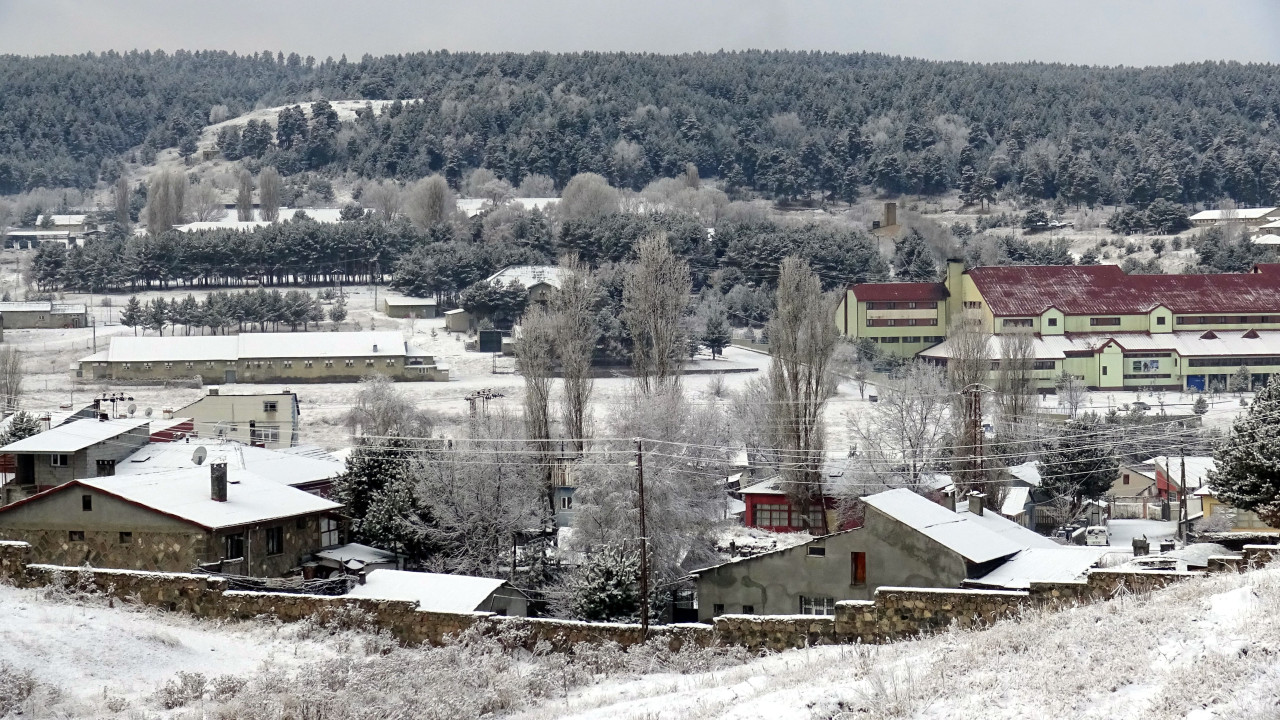 Erzurum, Kars, Ardahan, Ağrı ve Tunceli'de kar yağışı etkili oldu