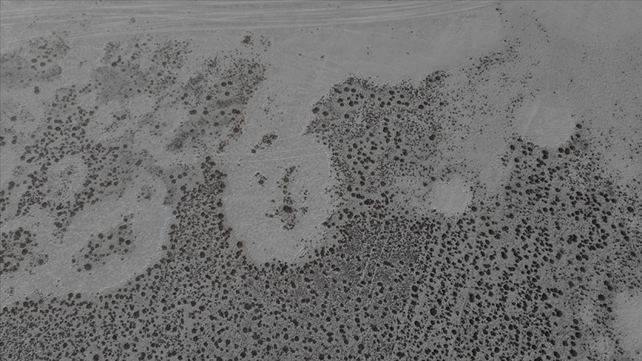 Tamamen kuruyan Seyfe Gölü Kuş Cenneti sessizliğe büründü