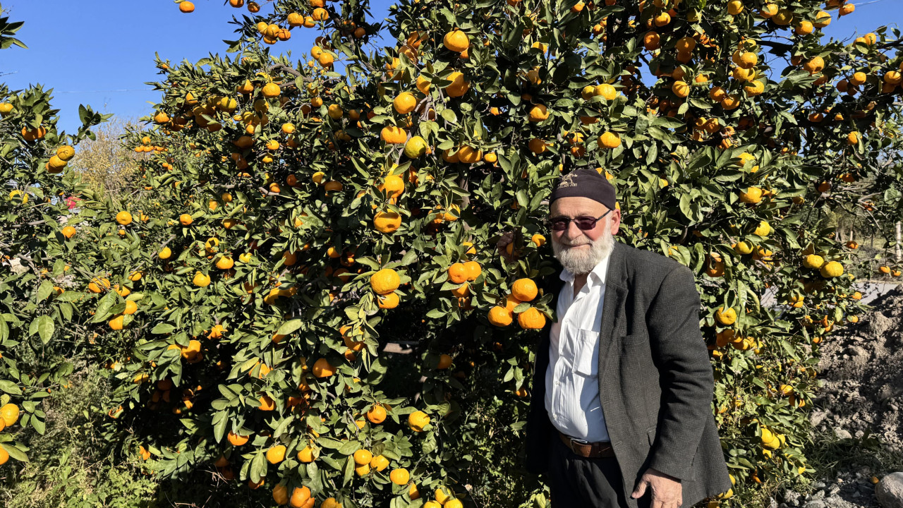 "Elmacı Dede" Hatay'dan aldığı mandalinaları Mehmetçiğe ulaştıracak